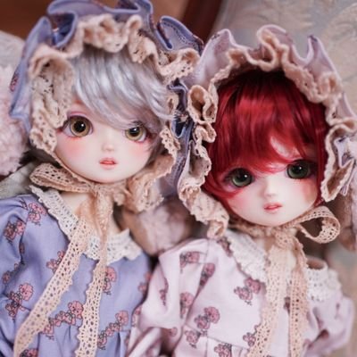 ともこ🐩POODLE PARTY🐩