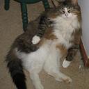 Beth Kohl - @MARIBETH79 - Twitter