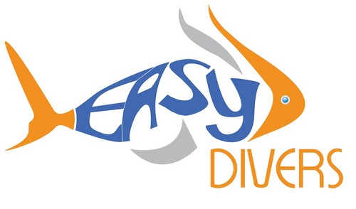 easydiversteane's profile picture. 