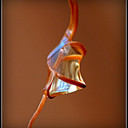 Diana Drury - @DianaDrury1 - Twitter