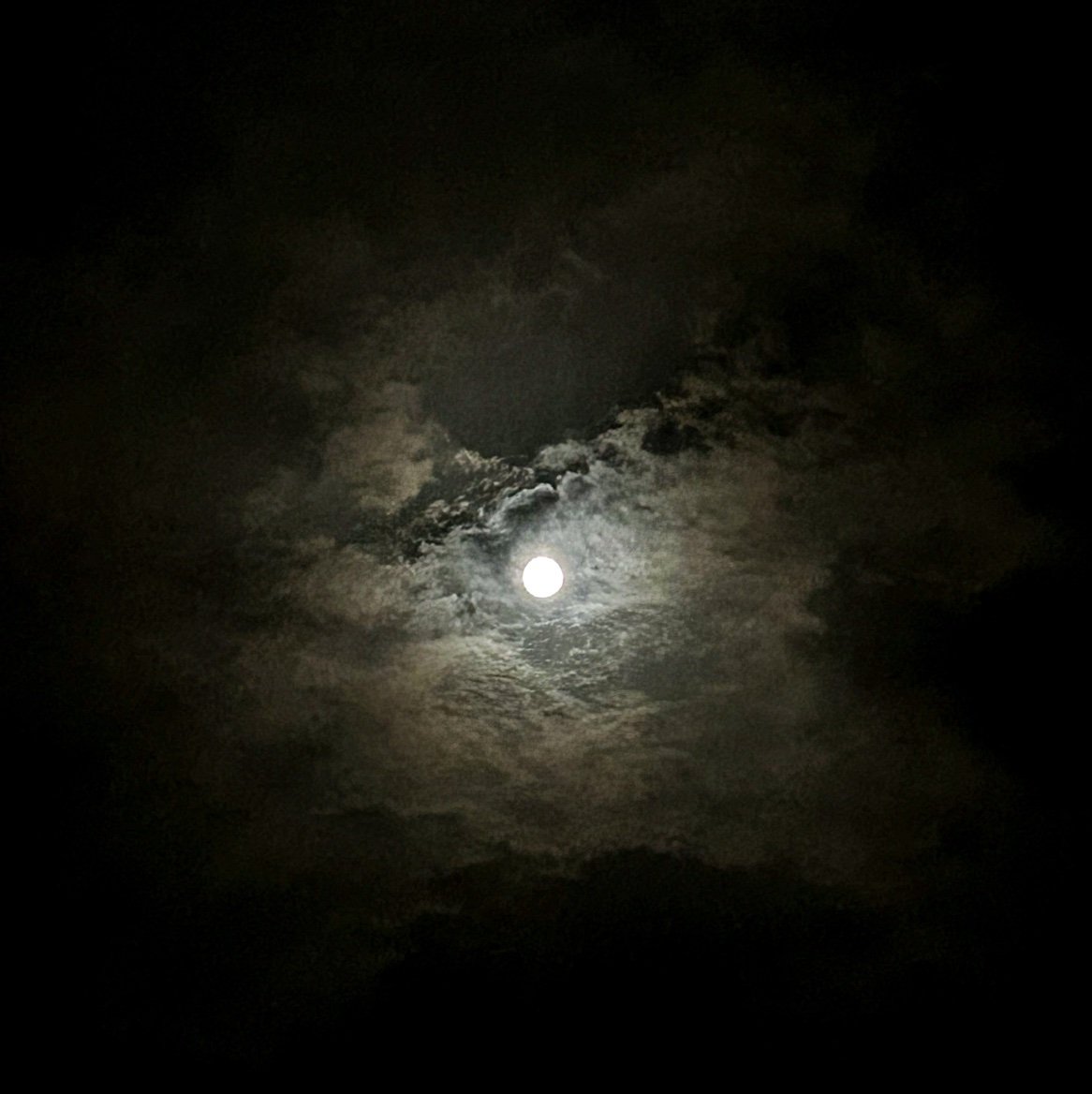☁️🤍