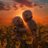 mujtaba_55's profile image