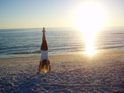 nringold's profile picture. 