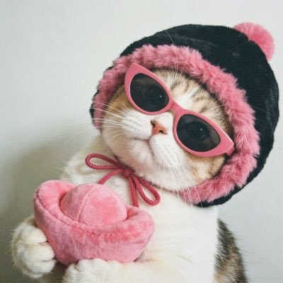 𝗸𝗶𝗿𝗶𝗶𝗶𝗻𝗮𝗻.𝗰𝗵𝗲𝗿𝗿𝘆🍒