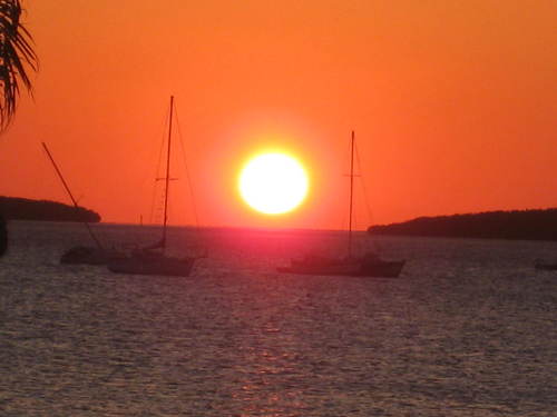 TomMacDonald7's profile picture. Father of 2, husband, son, brother, graduate, full-time Industrial Tool Distributor.