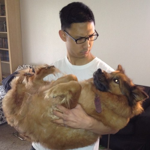 thechosenwonton's profile picture. 