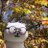 Mis2ka3's profile image