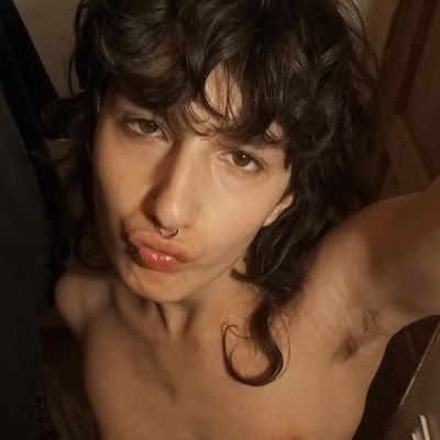 trannynsect