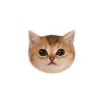 うちゅ