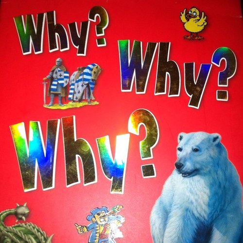 markwezzy's profile picture. 