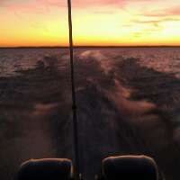 dehrlichte's profile picture. 