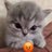 sii3ie's profile image