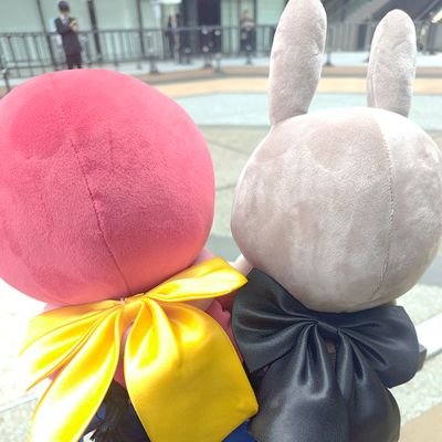 ☃️サブンコリニスタ☃️