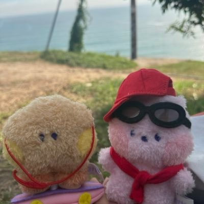 maru‧₊˚✩彡