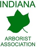 A professional organization promoting research technology, and the professional practice of Arboriculture.