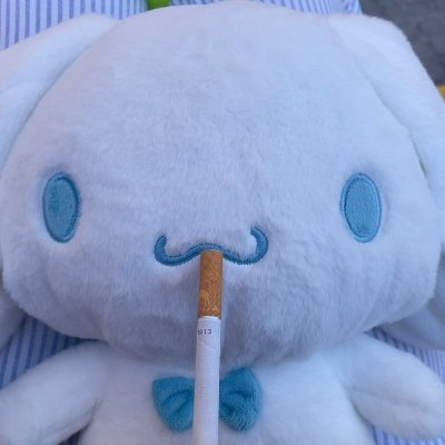 ⋆ 𝓒𝓮𝓬𝓲 ⁺₊✦