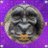 choro154's profile image