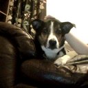 ANNE MCDERMOTT - @ENNA06 - Twitter