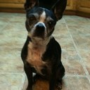 Mariann Johnson - @MJ84JJ - Twitter