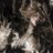 surie119's profile image