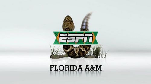 bird99q's profile picture. 