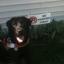 Anne Drake - @Blindswker - Twitter