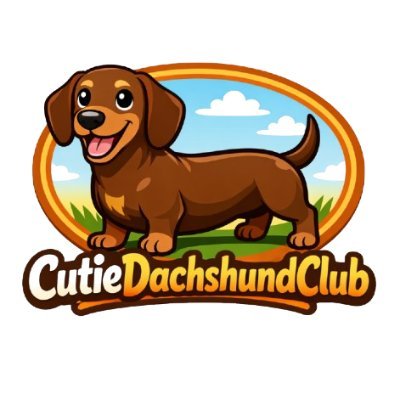 @Cutiedachshundclub 🐶💖🇺🇸🇺🇸🇺🇸
Amazing Dachshund Photos & Videos Daily ✨
Spreading Doxie Love Everywhere 🤎
Follow & Join Our Cute Little Family 🐾