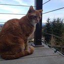 David Campi - @TheRealCampi - Twitter