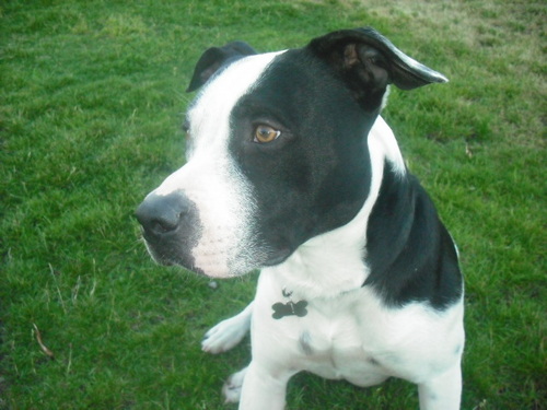 marydws's profile picture. 