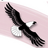 acres_sped's profile image