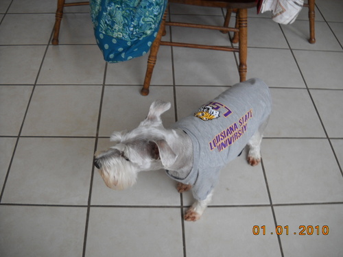 Member of Who Dat Nation & an LSU fan. Child Advocate. South Louisiana Social Butterfly