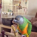 keith bear - @keitb8 - Twitter