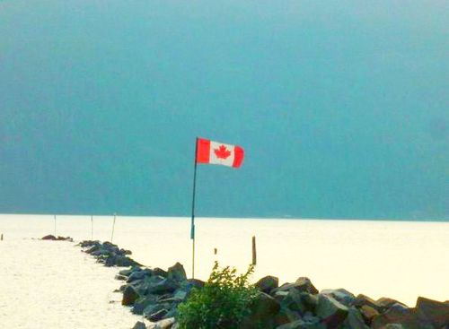twitter X feed for democrats across Canada 
also follow @usdemocrats