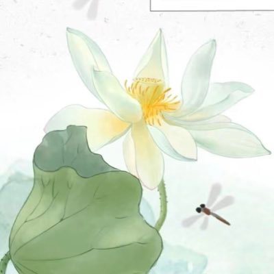 硕硕