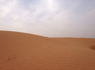 abdalah1392's profile picture. 