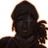 need4steam's profile image
