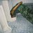 alexlov08497406's profile image