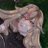 yuneveen's profile image