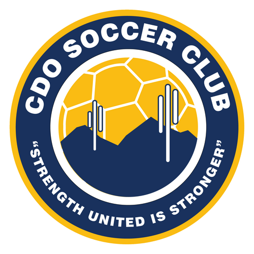 CDO 03B Premier
youth soccer team