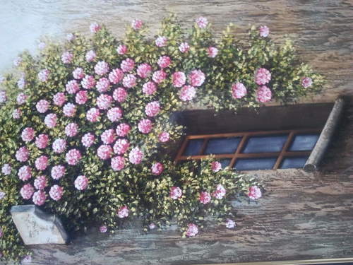 birdofpardz's profile picture. 