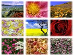 ﻣﻦ ﺍﻫﺘﻢ ﺑﺄﻣﺮ ﺁﺧﺮﺗﻪ ﻛﻔﺎﻩ ﺍﻟﻠﻪ ﺃﻣﺮ ﺩﻧﻴﺎﻩ