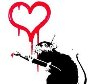 tai73's profile picture. 