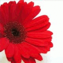 Jayne Donnelly - @Jayne2041 - Twitter