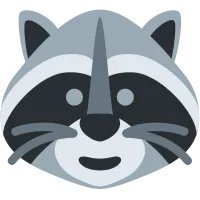 Raccoon Coin
