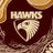 QuantumHawk666's profile image