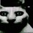 aeyrooms's profile image