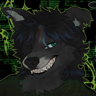 dns