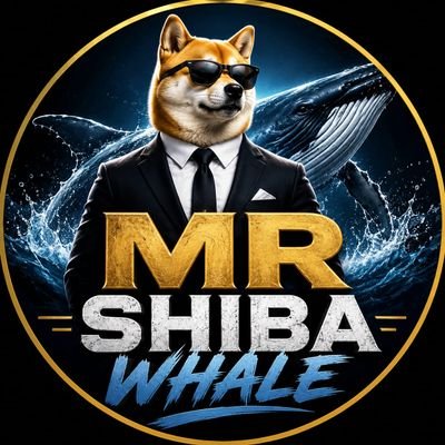 Mr Shiba Whale🐋