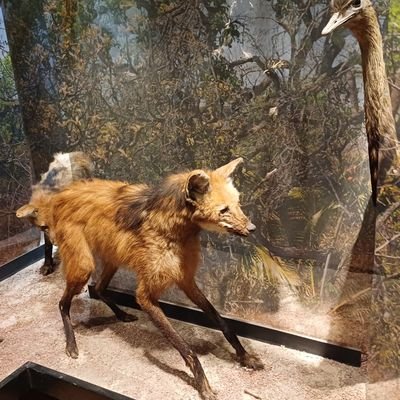 Uma pessoa que adora viajar e conhecer culturas novas
