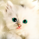 emily dunham - @yellowyumyum - Twitter